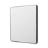 Flynn Black Curve Rectangular Mirror